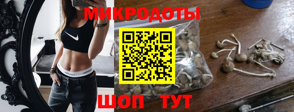 Галлюциногенные грибы мицелий  Вход с VPN  Кинель 