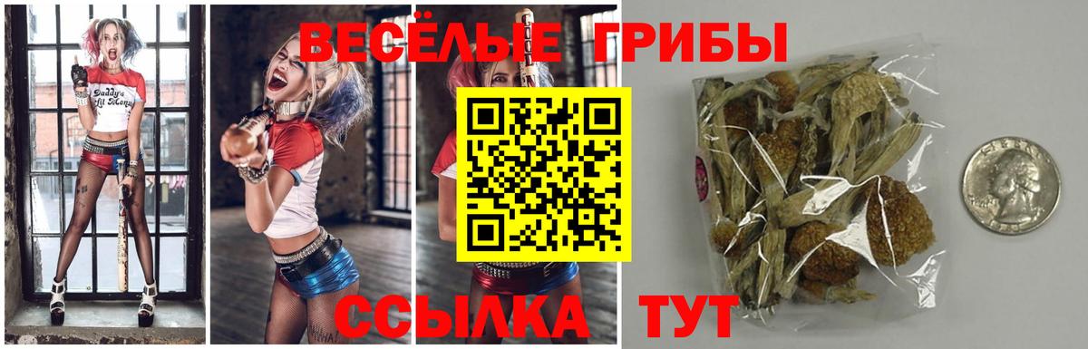 Галлюциногенные грибы Psilocybe Кинель